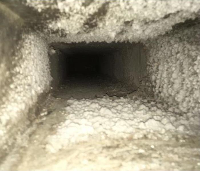 An air duct filled with dust, spores and debris