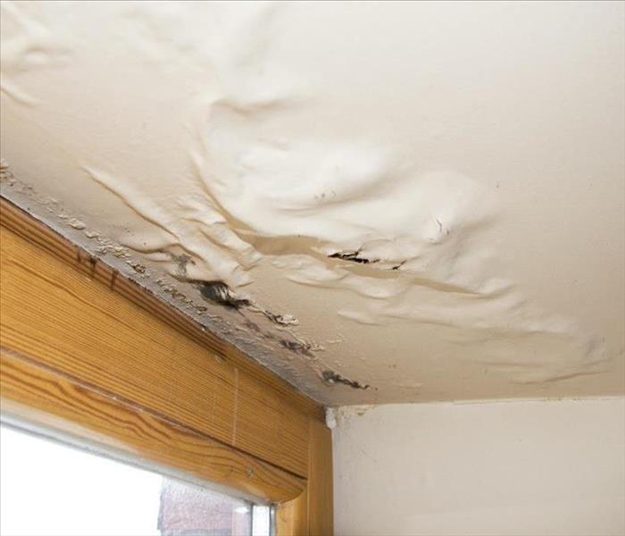 A white ceiling with black mold and bubbled sheet rock from water damage.