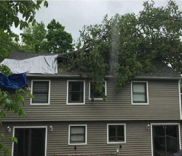 A large branch of a tree laying on a damaged roof after a storm