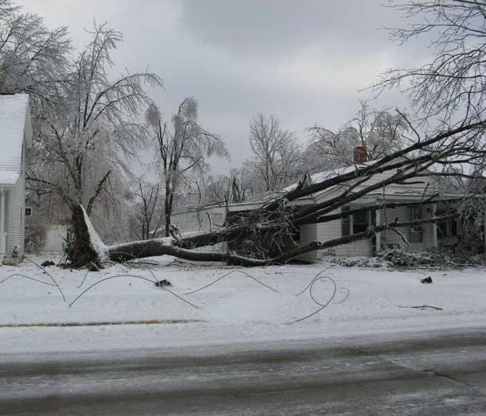 A large, fallen tree laying on the roof of a home after a winter storm