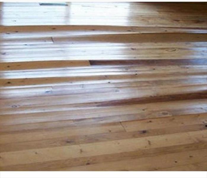A section of hardwood floor cupping and buckling from water damage underneath it.